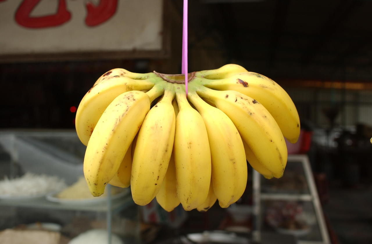 banana-08.jpg