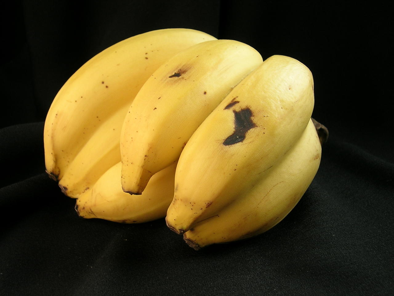 banana-26.jpg