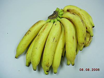 banana-01.jpg