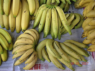 banana-19.jpg