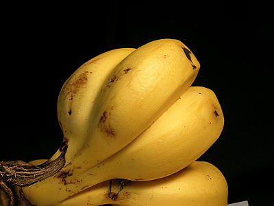 banana-23.jpg