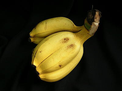 banana-24.jpg