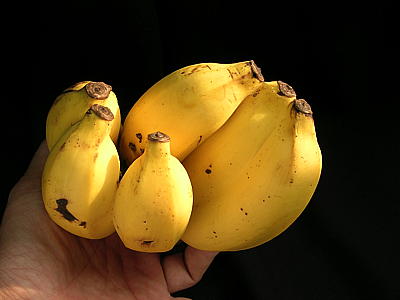 banana-25.jpg